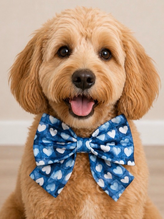 Griffy & Drake Other - 🐾SALE🐾Blue Heart Bow Pet Accessory -